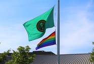 Pride flag image