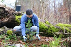 Green Kirkland MLK Day