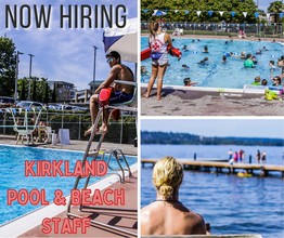 Lifeguard Hiring Collage of images