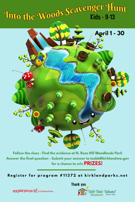 Into the Woods Scavenger Flyer