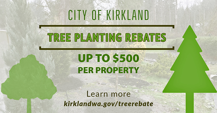 Tree Planting Rebates!