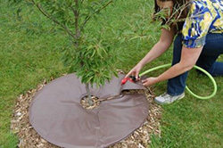 tree watering bag