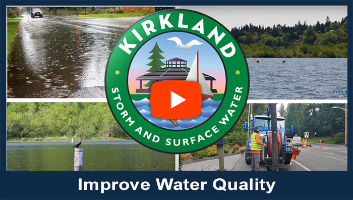 Improve Water Quality