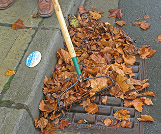 Clear Stormdrains