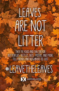 Leaves are not Litter Image