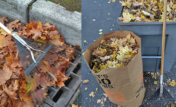 Extra Leaf Collection in November Image