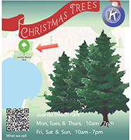 Christmas Tree Event