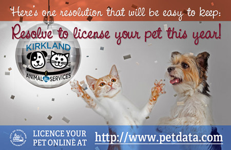 License Your Pet in 2022