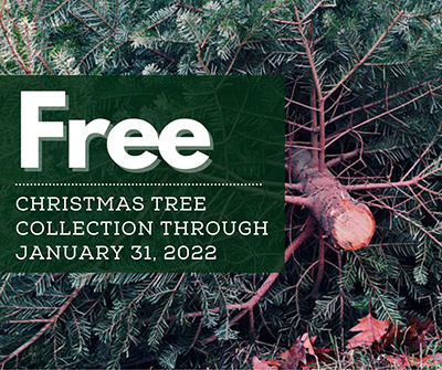 Free Tree Collection