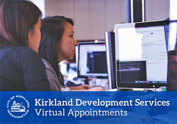 Dev Services Virtual Appointments