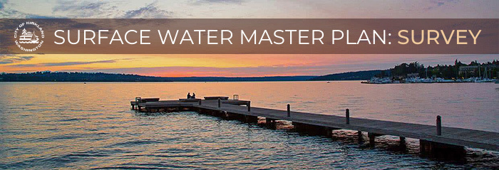 Surface Water Master Plan Survey