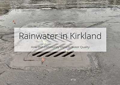 Rainwater in Kirkland
