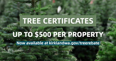 Tree Rebate Program