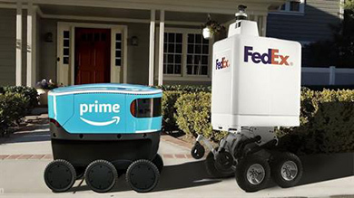 Autonomous Personal Delivery Devices