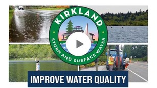 improve water quality video