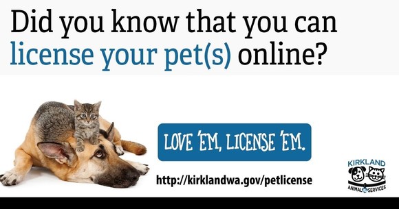 Did you know you can license your pet online?