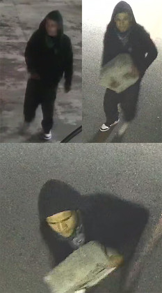 Auto theft suspect 08-29-22