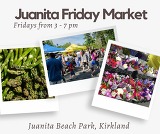 Juanita Friday Market Poloroid