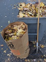 Leaf Clean Up - Fall Flooding Prevention - Bag Leaves 
