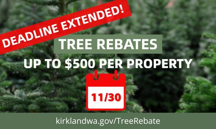 Tree Rebates - Deadline Extended
