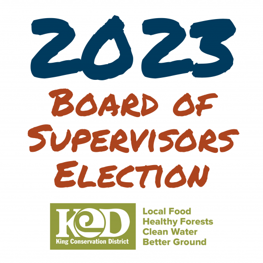 2023 Board of Supervisors Election