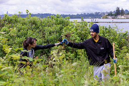 Green Kirkland Woman Handing Man Weeds