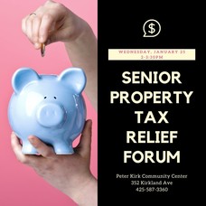 Senior Property Tax