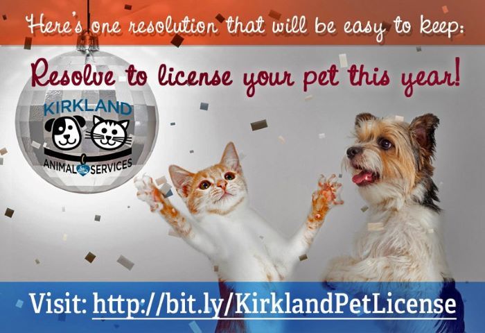 Resolve to license your pet this year