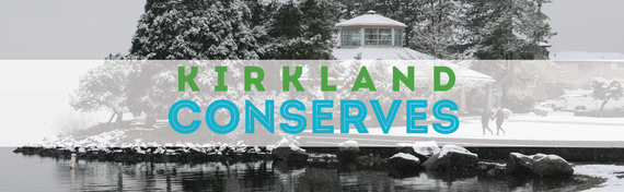 Kirkland Conserves Banner Winter