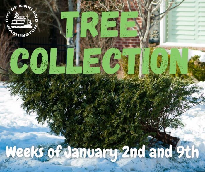 Christmas Tree Collection Jan 2 and Jan 9 2023