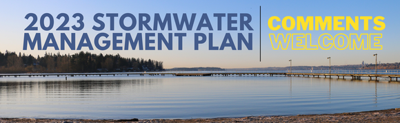 Stormwater Management Plan 2023