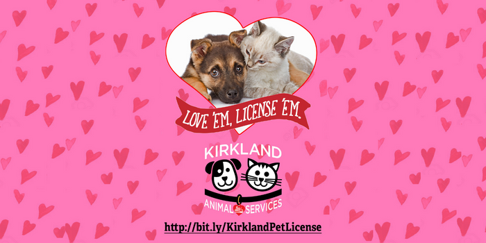 pet license Love em License em valentines day
