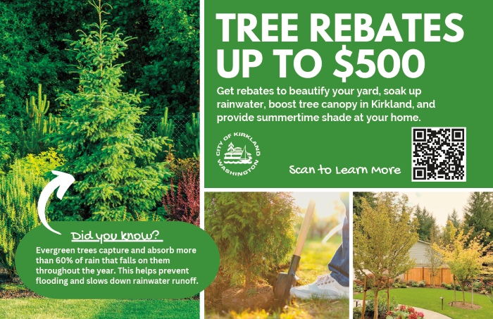Tree Rebate Program QR code