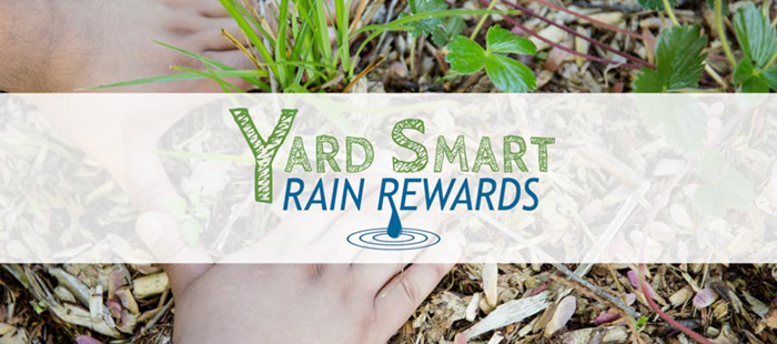yard-smart-rain-rewards-banner