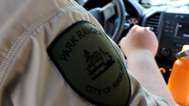 Park Ranger patch