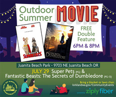 Outdoor Summer Movies Flyer 2023 July 29
