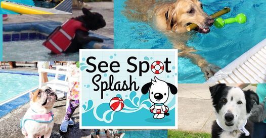 see spot splash graphic with four image collage