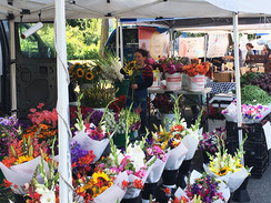 Juanita Friday Market flower vendor