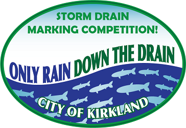 Storm Drain Competition Logo