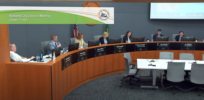 council-meeting-screenshot-20231017