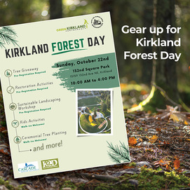 Kirkland Forest Day Gear Up