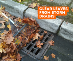 flooding clear leaves from storm drains