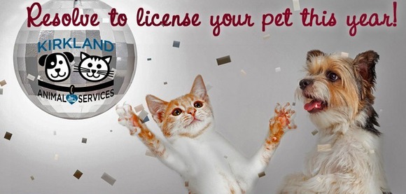 pet license resolution new year