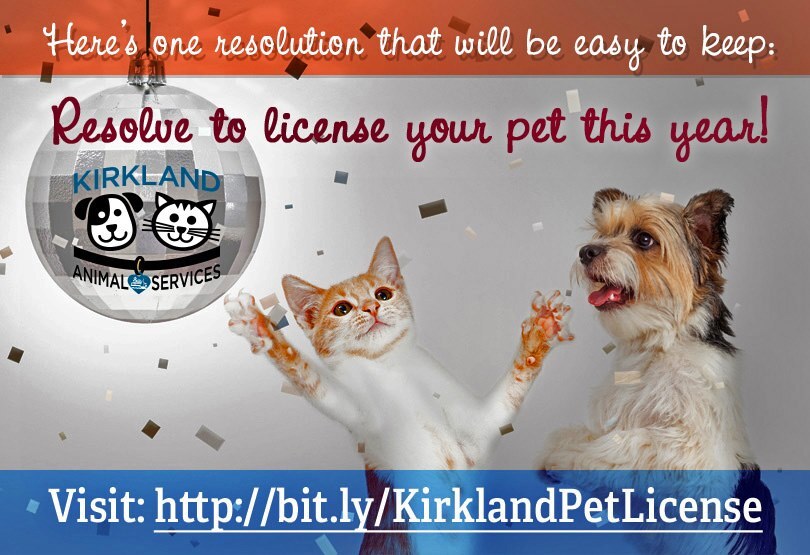 pet license resolution new year