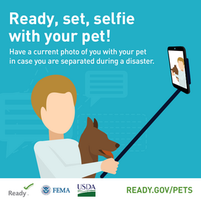 ready set selfie pet disaster prep