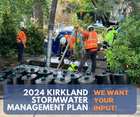 2024 Surface Water Management Plan Input