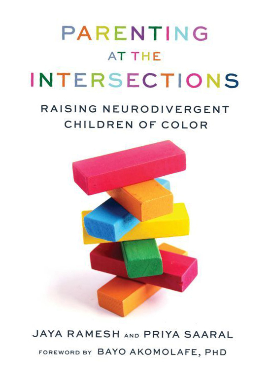 Parenting at the Intersections Book Cover