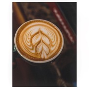 Seattle Coffee Gear 