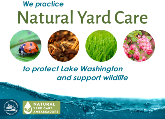 Natural Yard Care 2024
