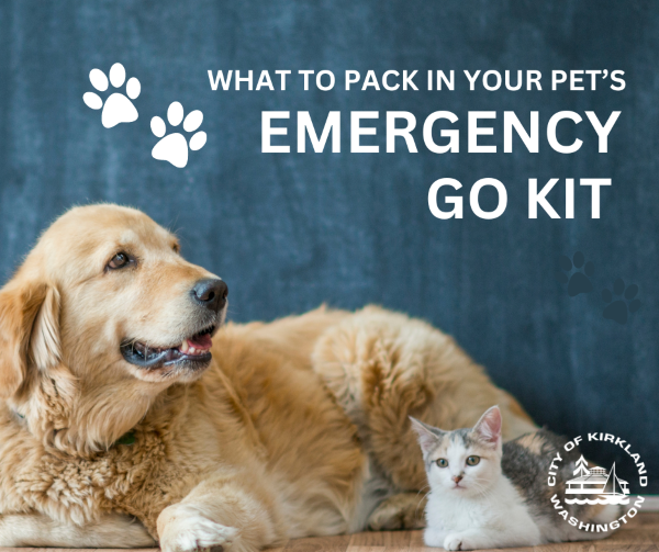 GO KIT FOR PETS